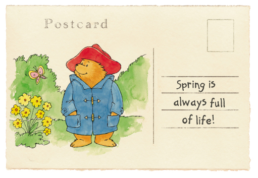 Paddington Bear パディントン ベア News